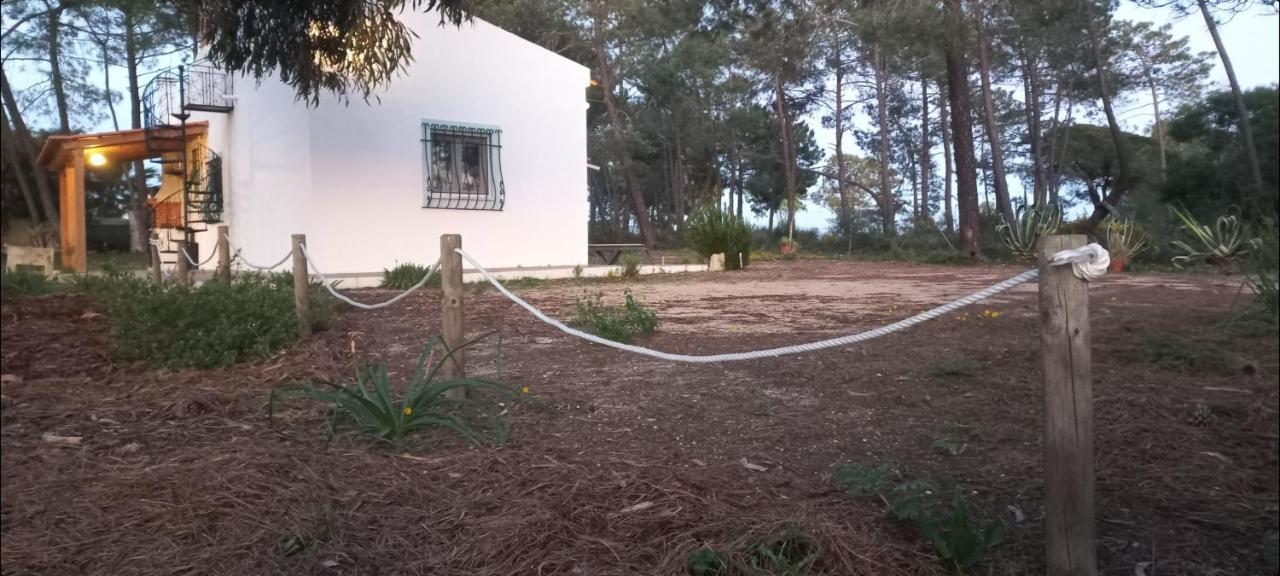 Casa Do Pinheiro - Parque Natural Da Ria Formosa. Tavira Zewnętrze zdjęcie