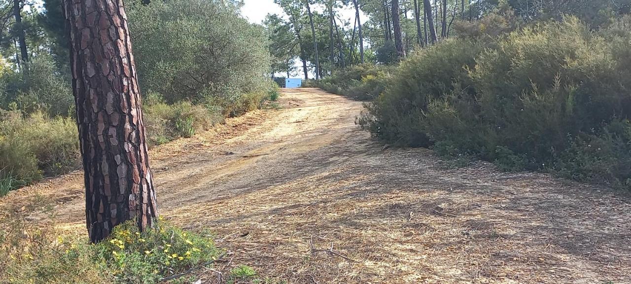 Casa Do Pinheiro - Parque Natural Da Ria Formosa. Tavira Zewnętrze zdjęcie