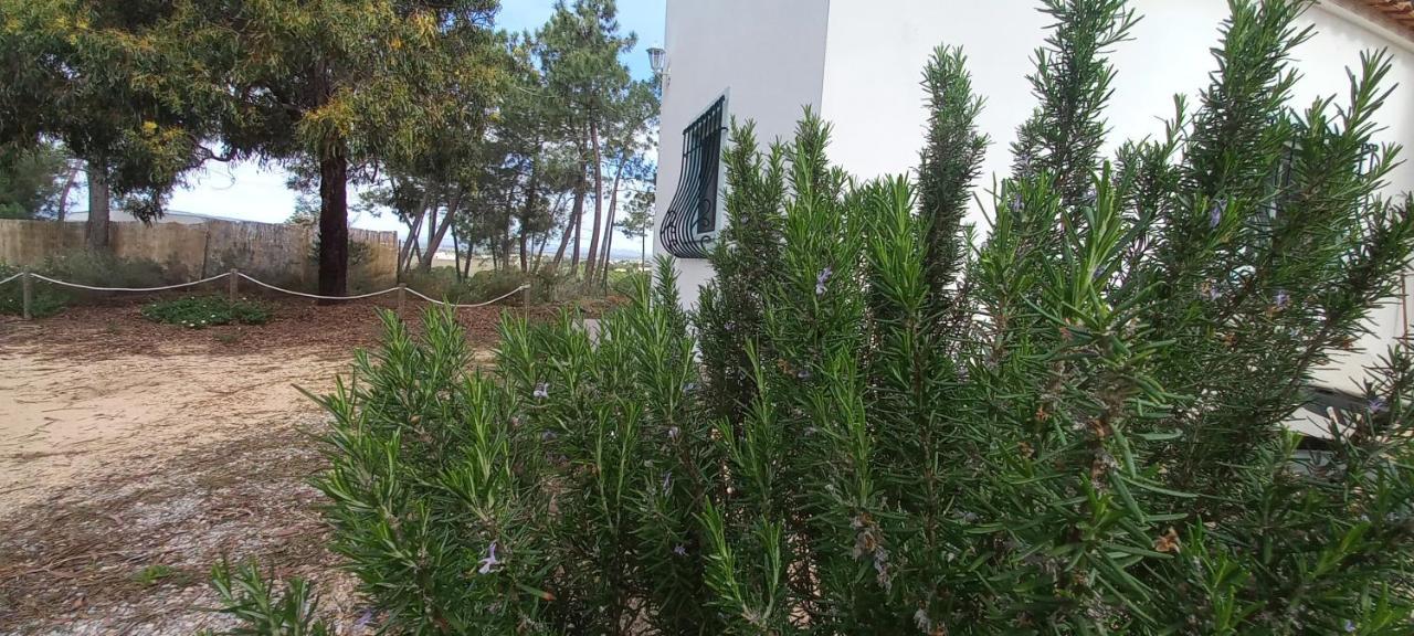 Casa Do Pinheiro - Parque Natural Da Ria Formosa. Tavira Zewnętrze zdjęcie