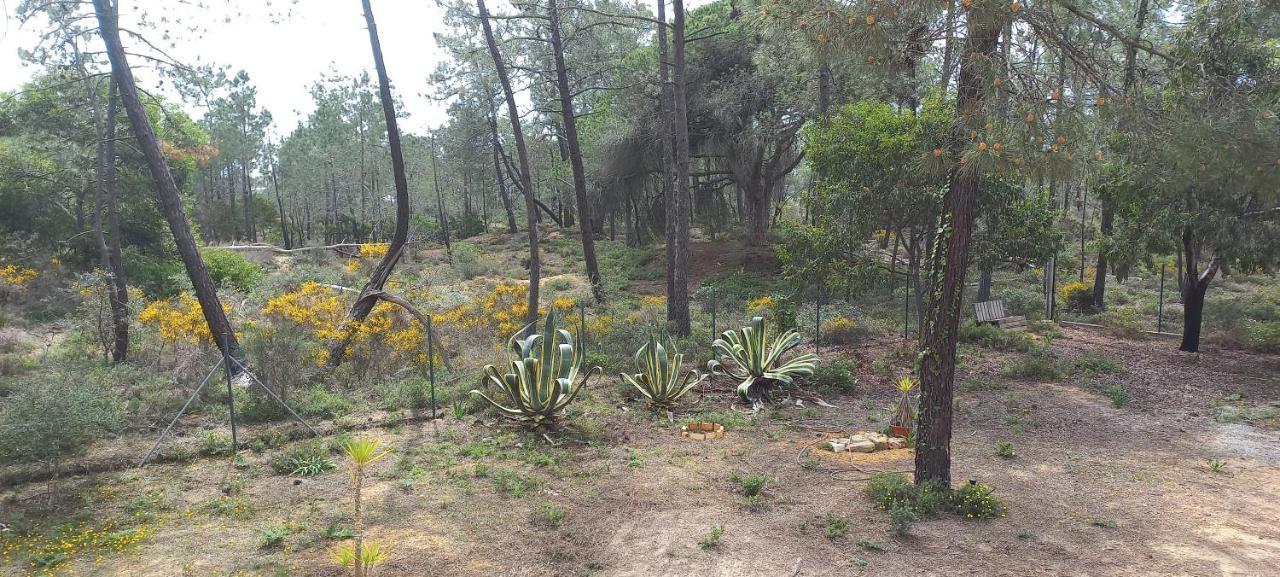 Casa Do Pinheiro - Parque Natural Da Ria Formosa. Tavira Zewnętrze zdjęcie